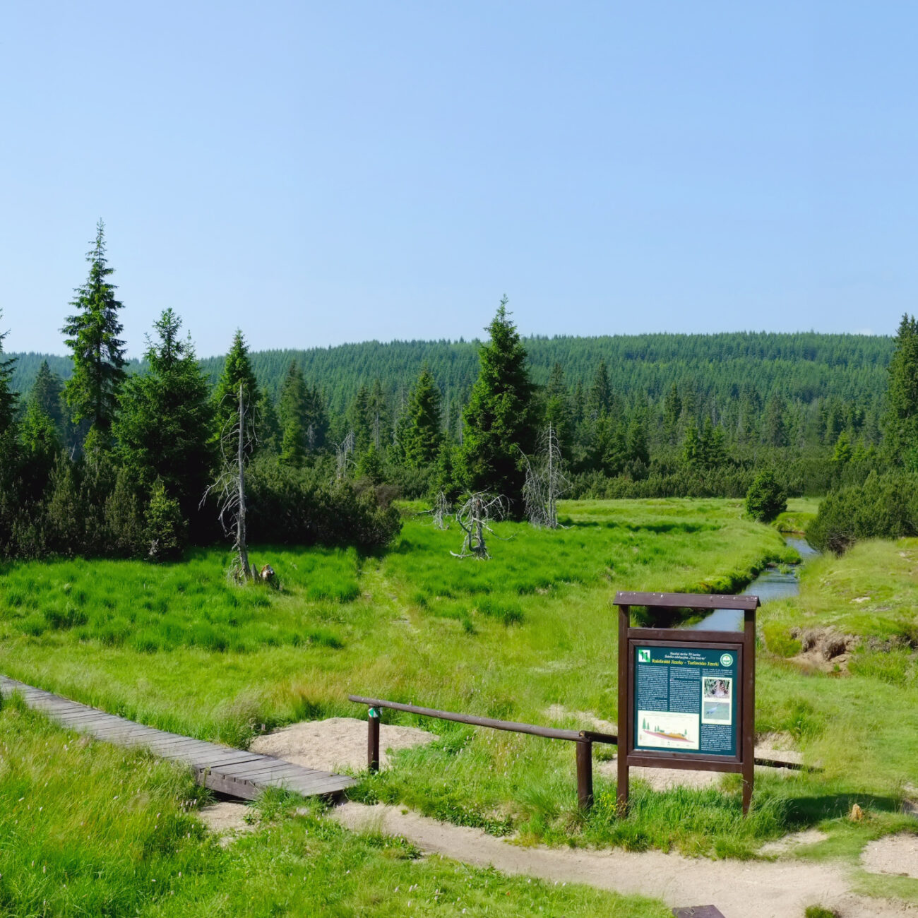 The picturesque view at Jizera mountains in summer.